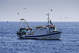 刀具,海,海岸