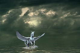 飛馬,復合材料,馬