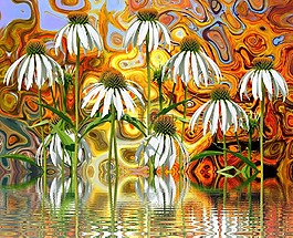 花多,鮮花,野生花卉