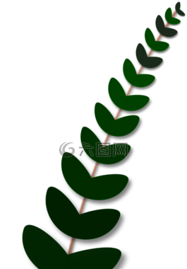 橄欖,分支機(jī)構(gòu),和平