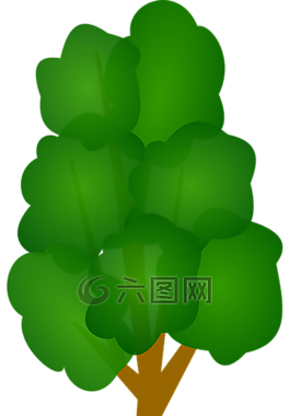 樹,樹干,計(jì)劃