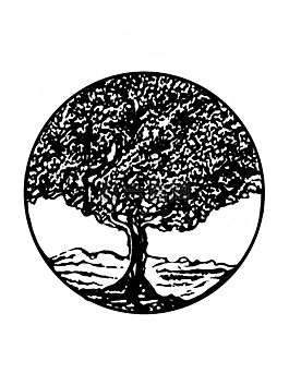 樹,環(huán)路,植物