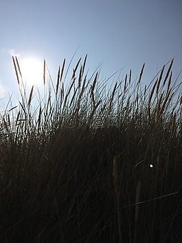 himmel,藍(lán)色,藍(lán)色的天空