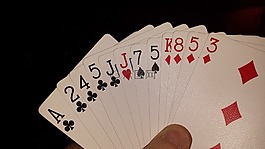 wist,纸牌游戏,玩扑克牌