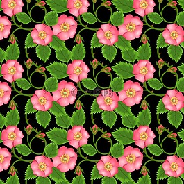 玫瑰,鮮花,芽