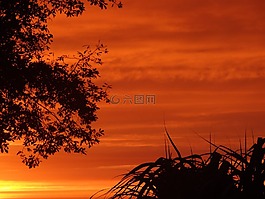 日落,天空,abendstimmung