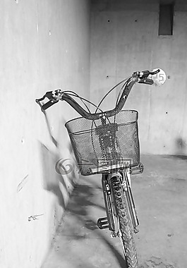 自行車,旅行者,運(yùn)輸