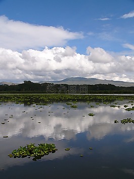 美,湖,非洲