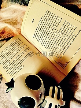 書籍,爬行,頁面