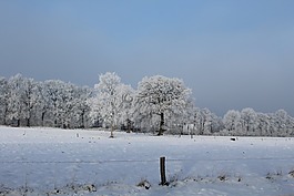 冬天,景觀,雪