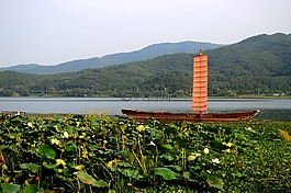 河,在河边,莲花