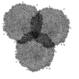 模式,装饰,丰富多彩