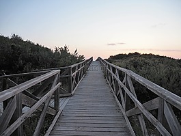 網(wǎng)站,馬洛卡,沙丘
