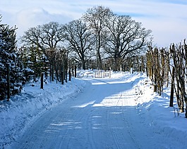 冬天,雪,離
