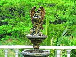 源,花園,春