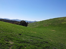 字段,大自然,景觀