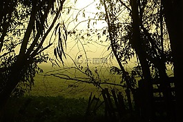 躁動,神秘,霧