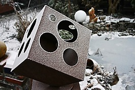 冬天,花園,弗羅斯特