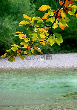 奧地利,阿特湖,秋季