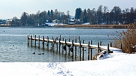 冬天,雪,寒冬