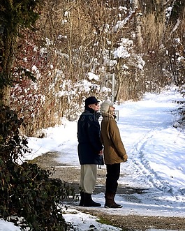 冬天,雪,森林