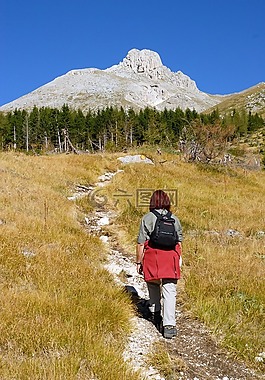 徒步旅行,山,遠足