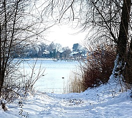 冬天,雪,湖