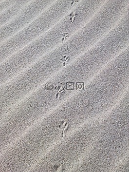 痕跡,砂,海灘
