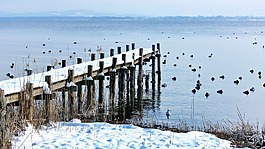 冬天,雪,網(wǎng)站