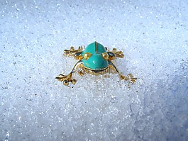 青蛙,綠松石,雪