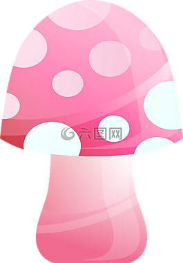 蘑菇,飛木耳,真菌