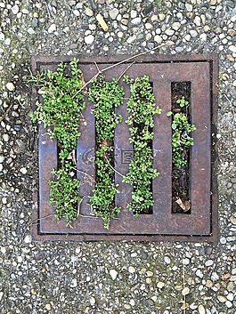 通道,蓋,路