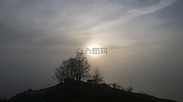 霧,太陽,自然攝影