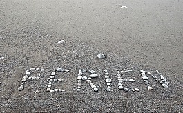 假期,海灘,海