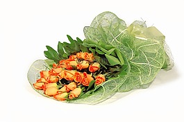 花圈,畢業(yè),祝賀