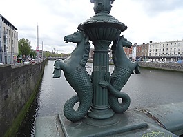 愛爾蘭,海馬,橋