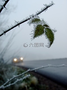 學校啟動,風險,冰