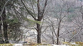 埃什特雷拉山脈,雪,假期