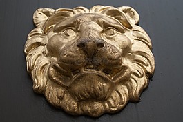 獅子,飾品,門