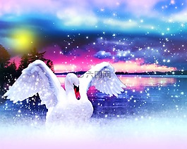 天鵝,鳥,水禽