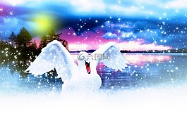 天鵝,鳥(niǎo),水禽