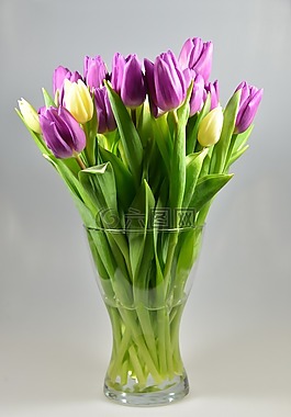 花瓶,郁金香,花束