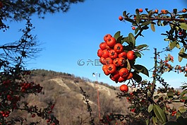 紅色,丘陵,天空