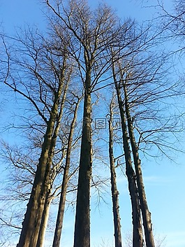 马尔默,katrinetorp,秋季