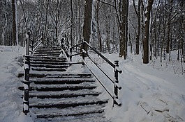 冬天,蒙特利尔,皇家山