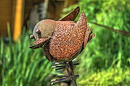 鳥,錫,花園