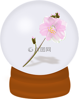 開花,裝修,花