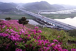 操作紅,高速公路,春天
