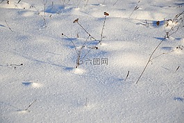 冬季,雪,性質(zhì)