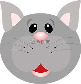 猫,猫的,可爱